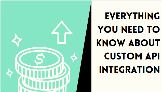 Everything you Need to Know About Custom API Integration
